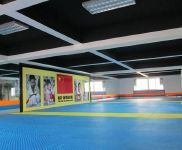 騰達推薦！開發區老轉盤附近成熟跆拳道館誠意轉讓